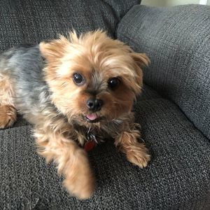 Meet your Posher, Gail